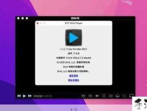 divx解码器是什么意思：DivX解码器如何帮助我播放高清视频？