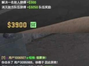 CSGO游戏中放弃ECO策略，面临经济与战术的双重困境