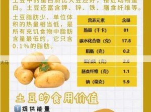 探索创造与魔法中土豆类美食制作对资源管理的关键性及优化路径