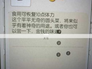 小森生活金贝壳用途及常见道具作用在资源管理中的重要性解析