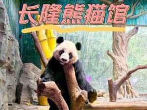 疯狂动物园探秘，体验解锁熊猫撞击的无限欢乐