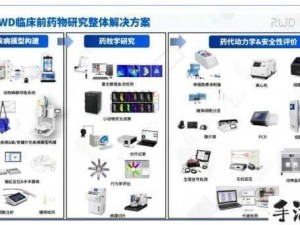 崛起之路，终极王者如何高效管理资源并凸显其重要性