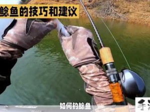 创造与魔法鲶鱼垂钓全攻略，资源管理技巧与防浪费详解