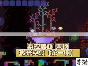 泰拉瑞亚空岛生存指南，钓鱼准备要点深度剖析