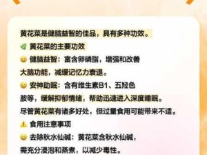 黄花菜的营养价值与多样烹饪方式解析