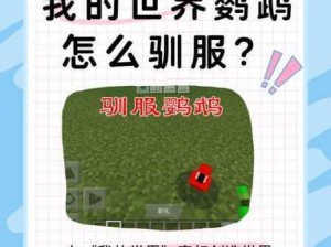 创造与魔法揭秘鹦鹉饲料保底配方驯服必备攻略