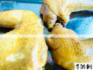 创造与魔法，土豆的奇妙探索，揭秘美食与饲料新篇章