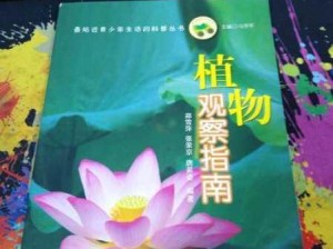 龟类交配行为观察指南：安全探索与生理特征解析