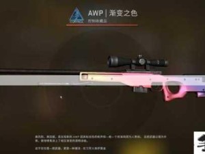 CSGO玩家误区，主战枪打不死人却坚持用，资源管理深度解读