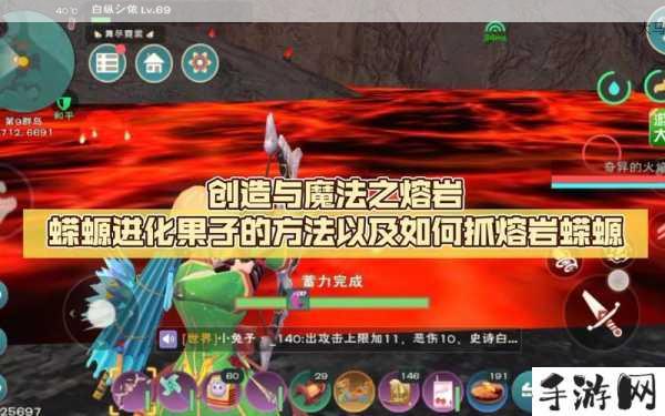 创造与魔法捕捉蝾螈需要什么，资源管理的重要性与高效策略