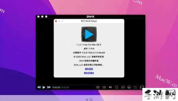 divx解码器是什么意思：DivX解码器如何帮助我播放高清视频？