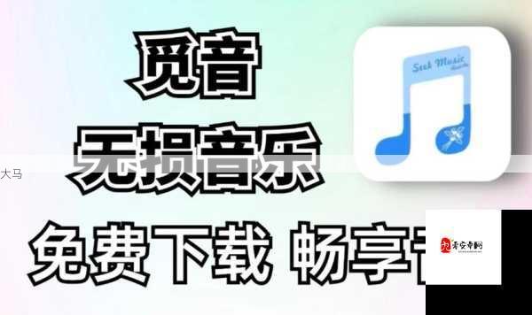 高清MV免费观看指南：如何畅享无损音乐视频？